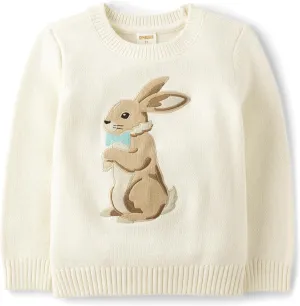 Gymboree Boys' and Toddler Embroidered Pullover Sweater