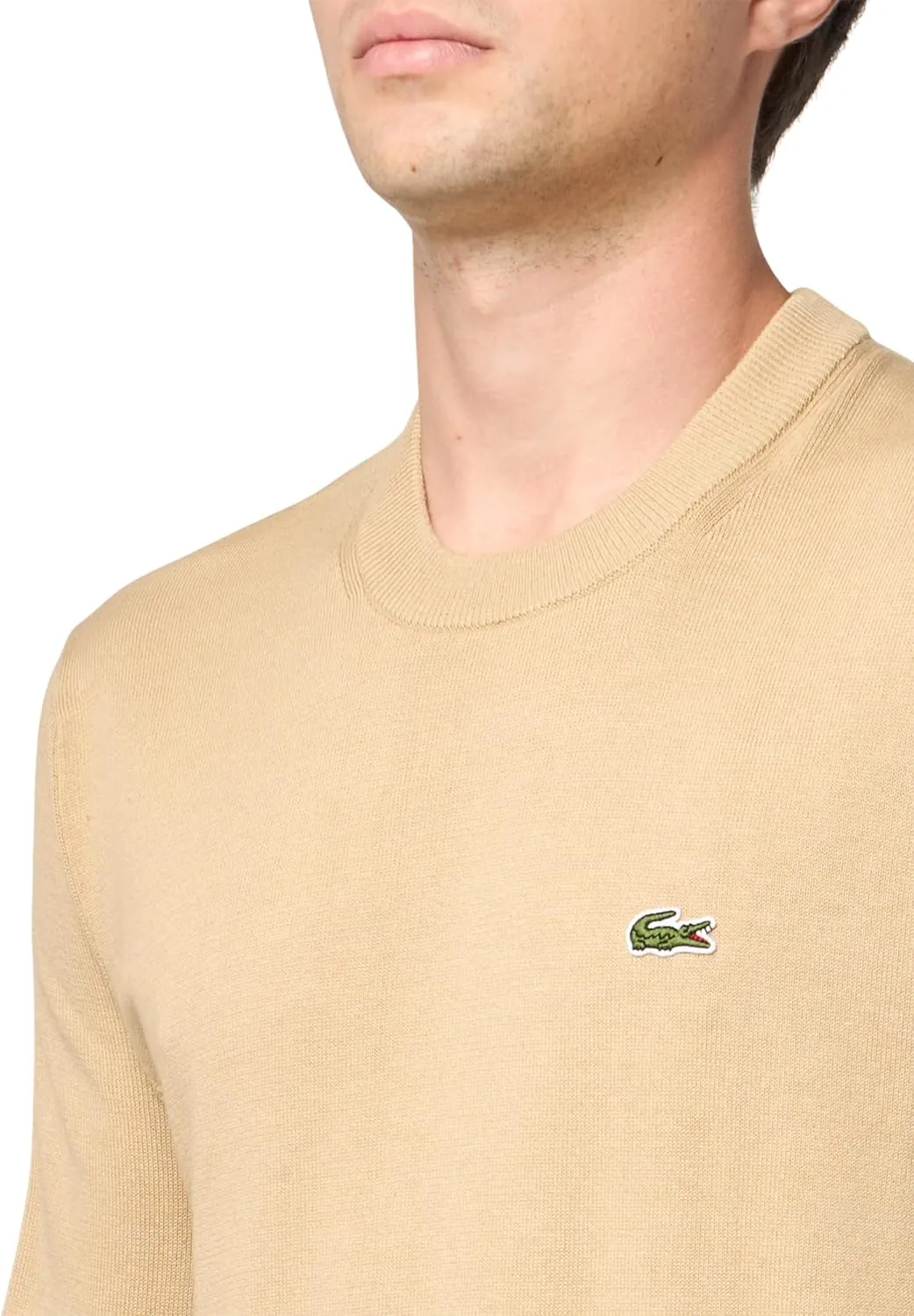 Lacoste Men's Monochrome Cotton Crew Neck Sweater
