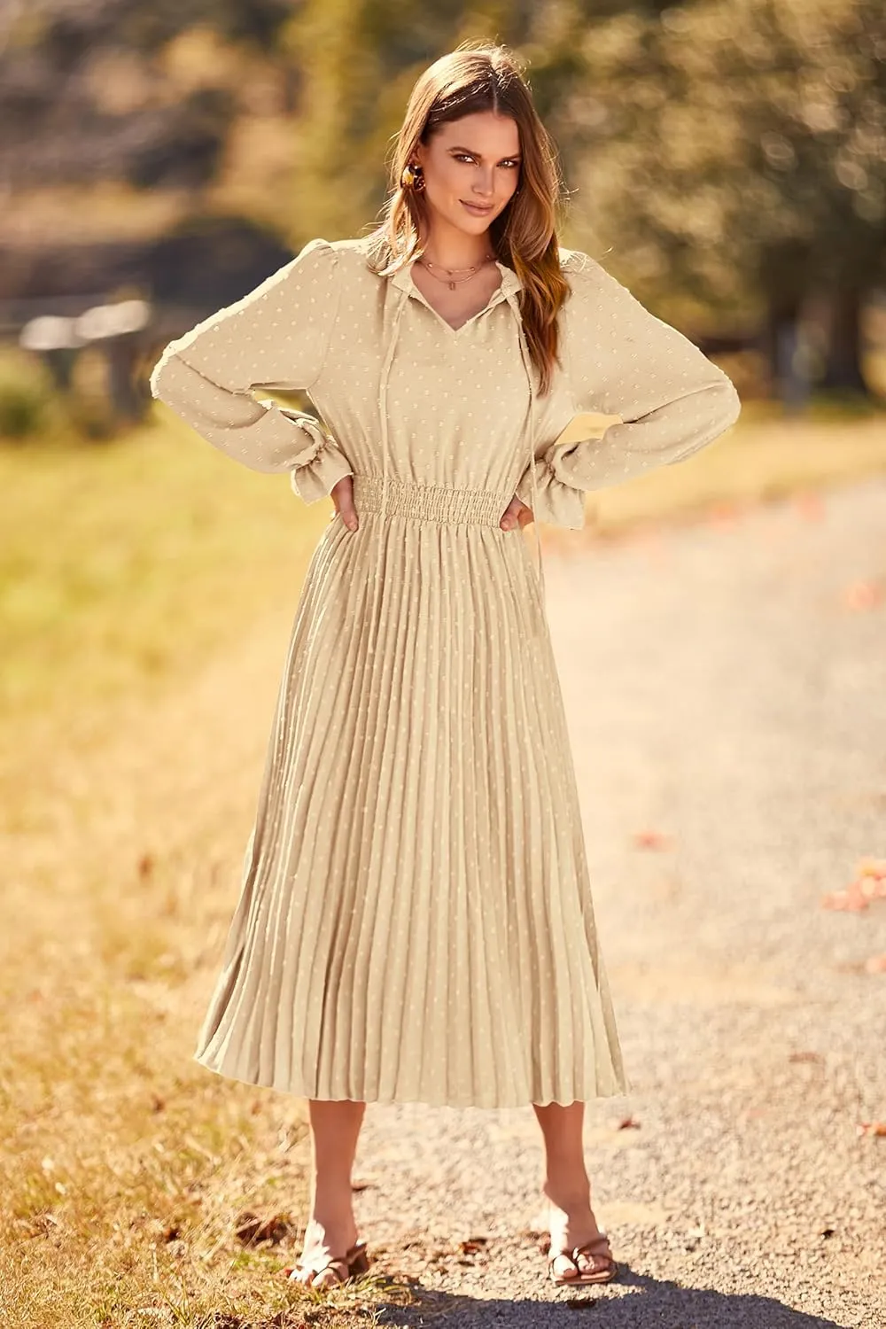 PRETTYGARDEN Women's 2025 Spring Fall Midi Dress Casual Long Sleeve V Neck Swiss Dot Pleated A Line Flowy Dresses